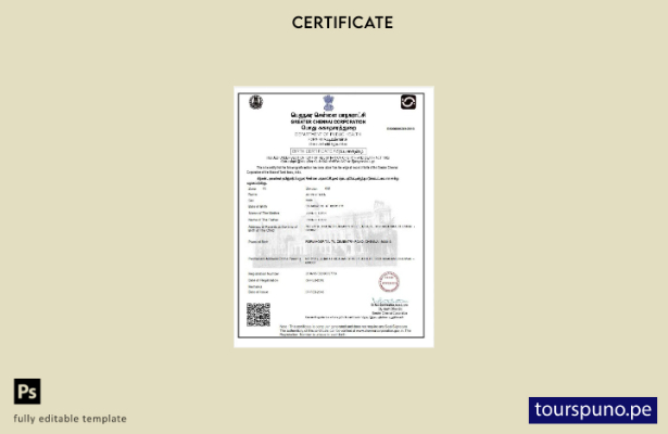 Plantilla de certificado de nacimiento de la corporación India Greater Chennai l